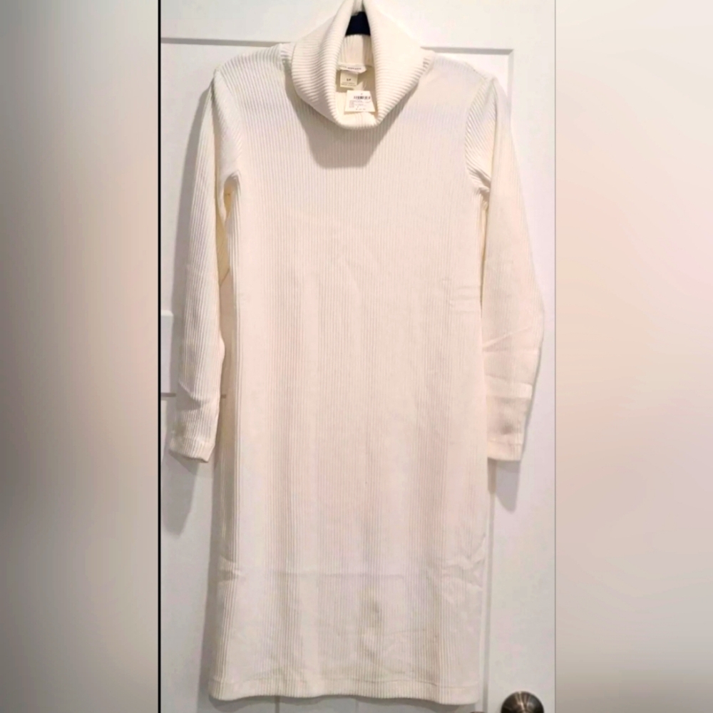 Club Monaco dress